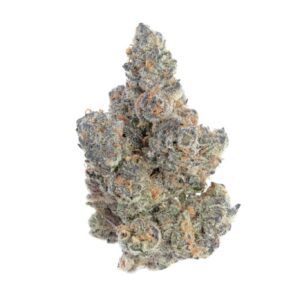 Sunshine Sherbet