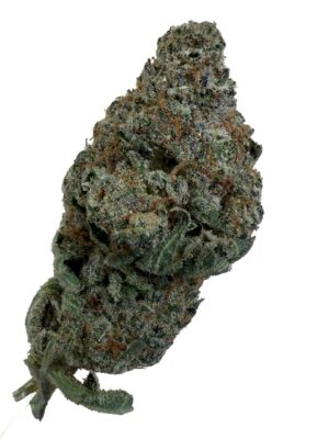 Zkittlez Strain